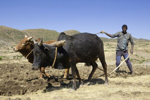 Oued Beht Farming Community
