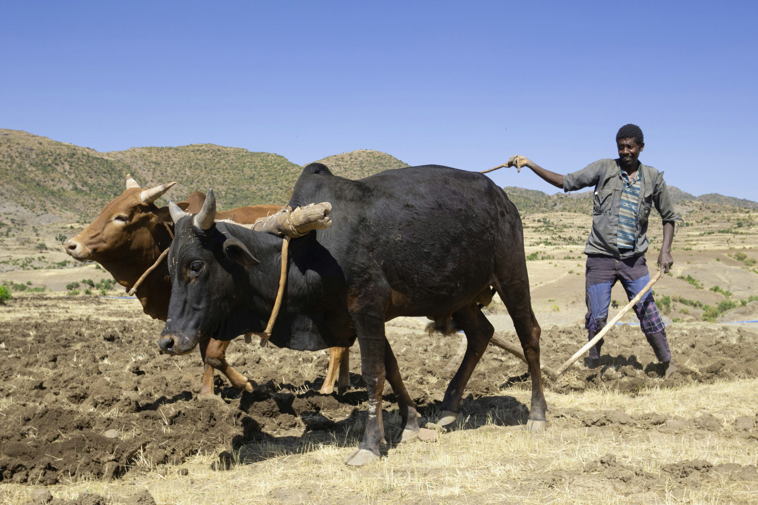 Oued Beht Farming Community