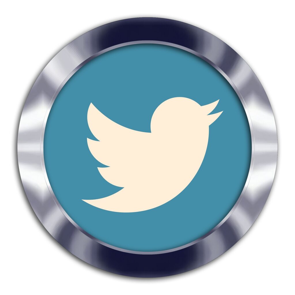 Twitter video downloader online