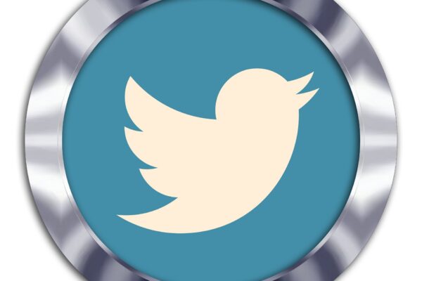 Twitter video downloader online